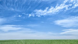 中学受験を目指している子は、学校行事は優先するのか？